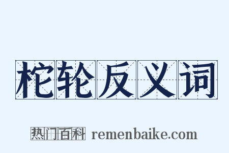柁轮反义词是什么意思的图片